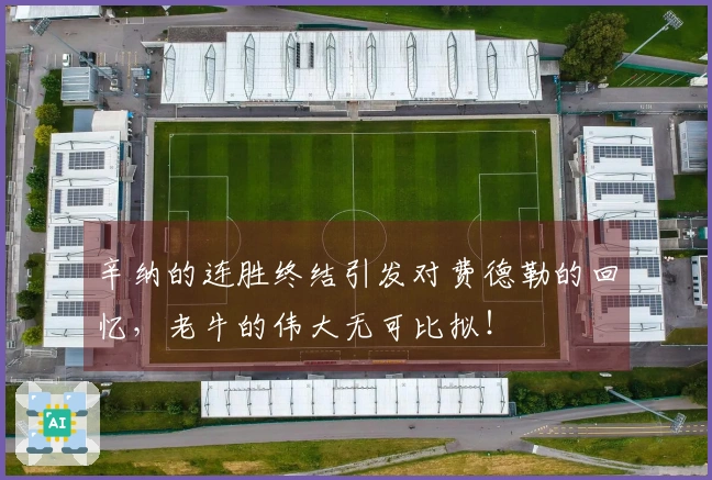 辛纳的连胜终结引发对费德勒的回忆，老牛的伟大无可比拟！