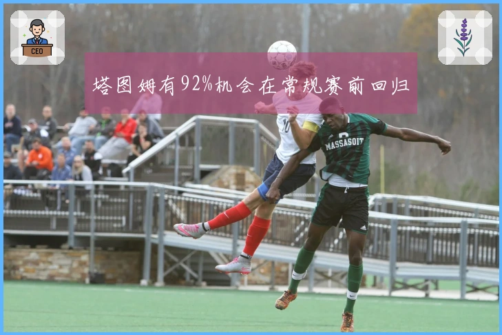 塔图姆有92%机会在常规赛前回归